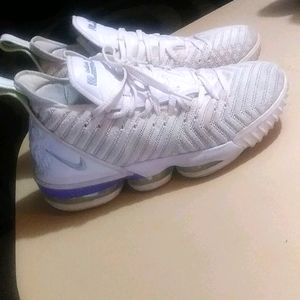 LeBron 16s